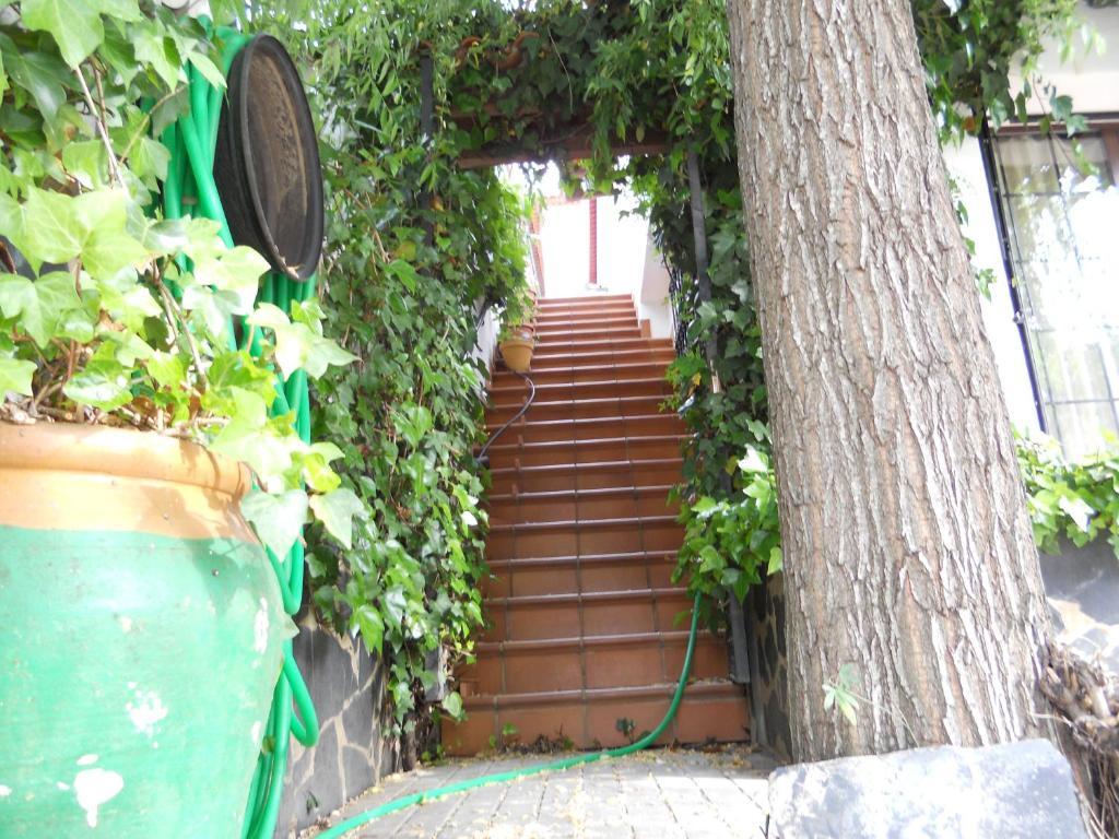 Pension Barrio Фуэнтеэридос Экстерьер фото