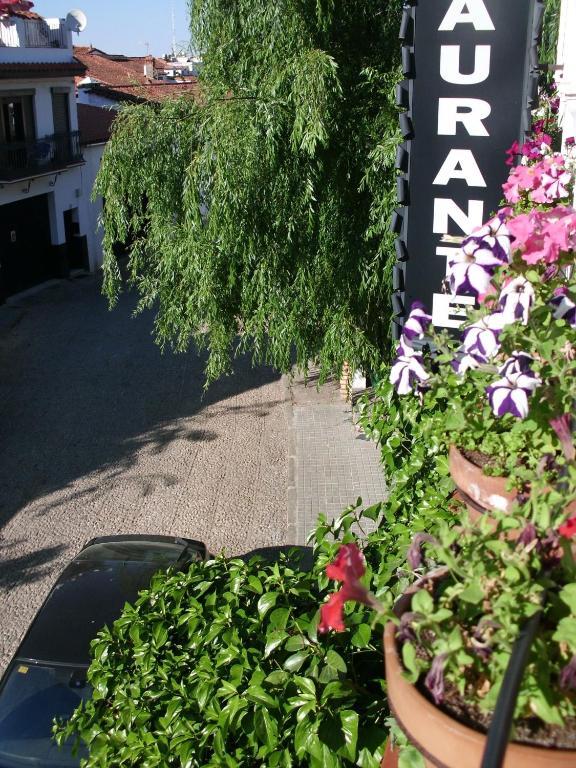 Pension Barrio Фуэнтеэридос Номер фото
