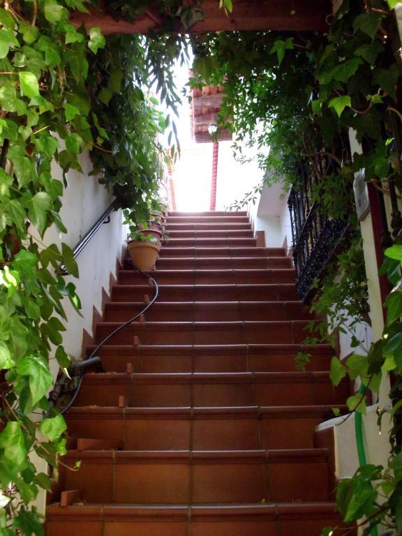 Pension Barrio Фуэнтеэридос Номер фото